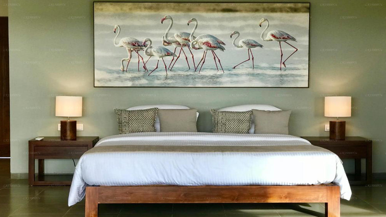 Dom Palmyrah, Mannar