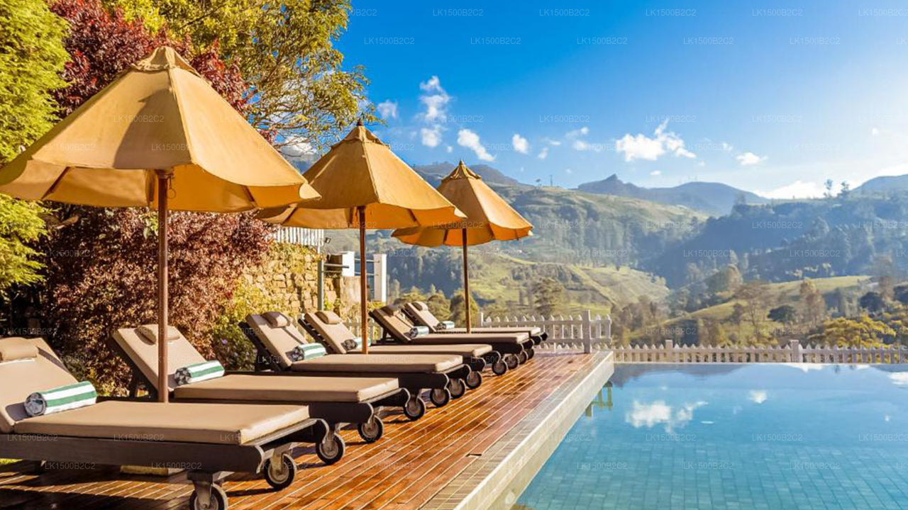 Amaya Langdale, Nuwara Eliya