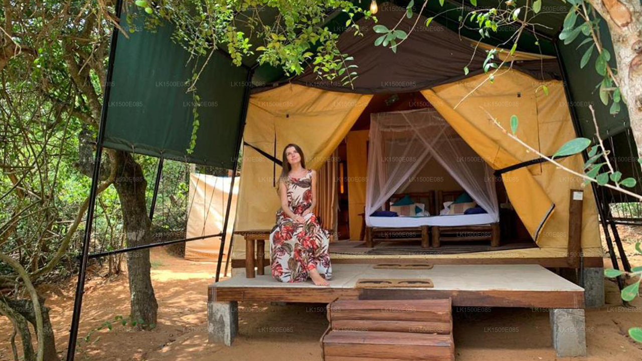 Tył Beyond - Safari Lodge, Yala