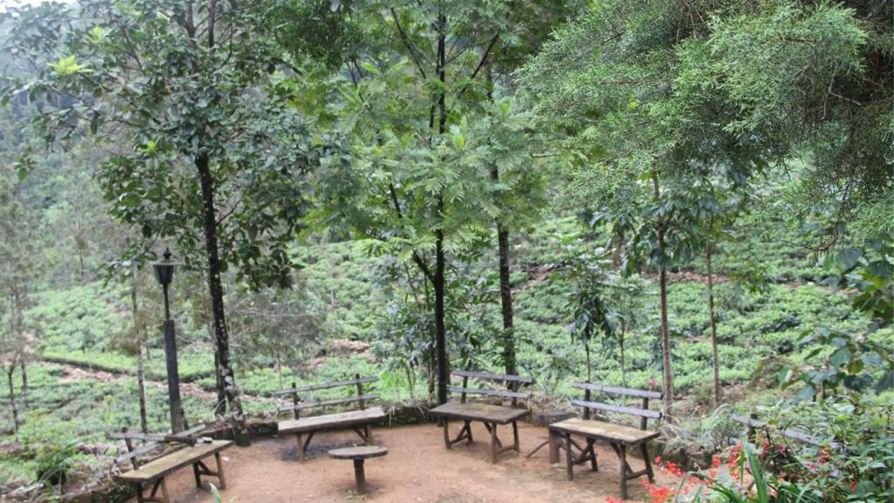 Maskelioya Family Park Resort, Hatton