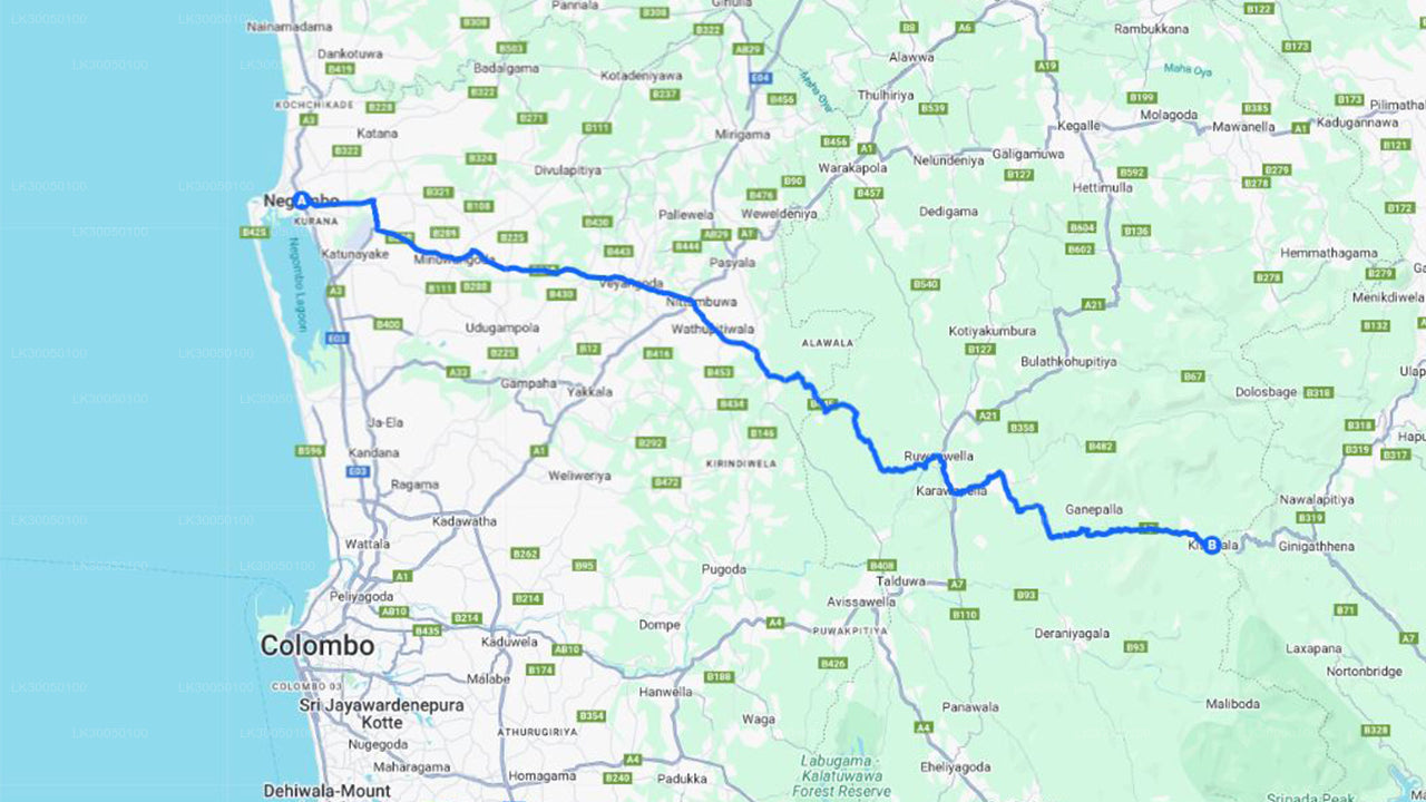 Spływ pontonowy z Negombo