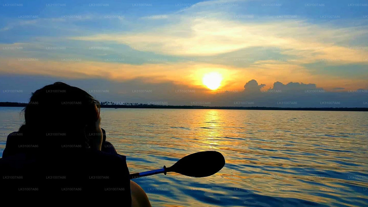 Wycieczka kajakowa po lagunie z Negombo