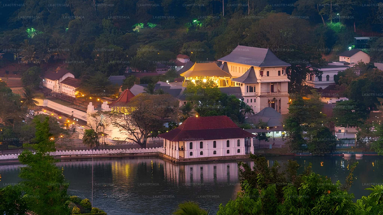 Z Elli do Kandy: malownicza podróż pociągiem i samochodem lub vanem