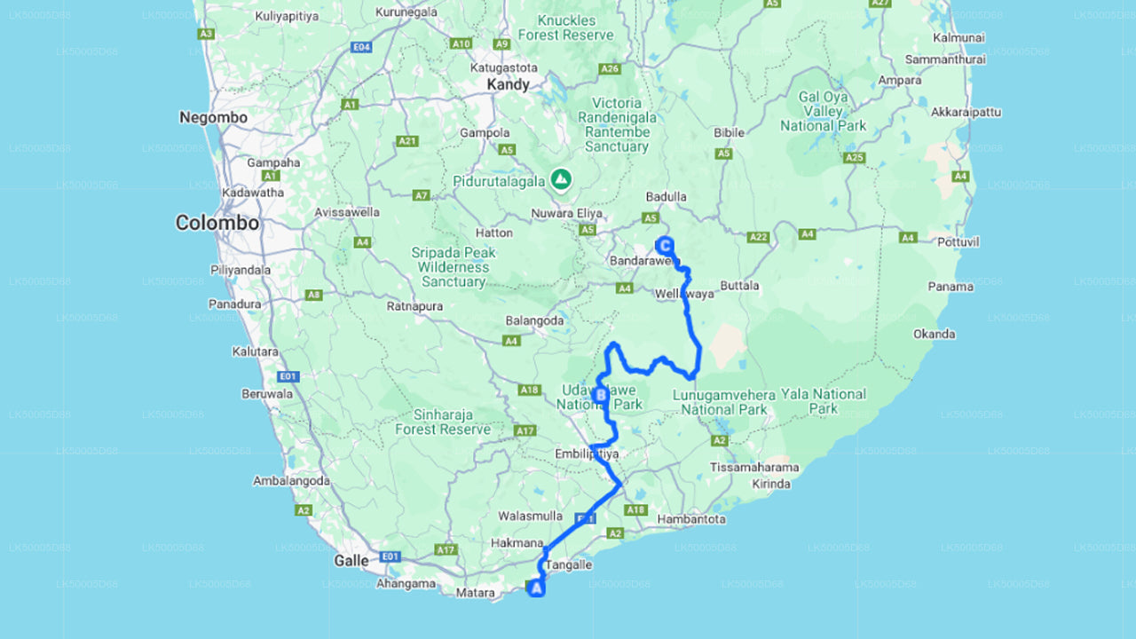 Prywatna wycieczka z Hiriketiya do Elli z Udawalawe Safari