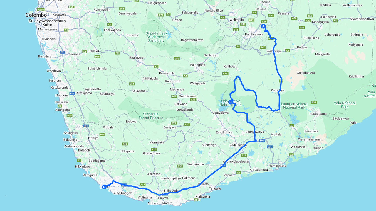 Private Tour from Ella to Galle with Udawalawe Safari