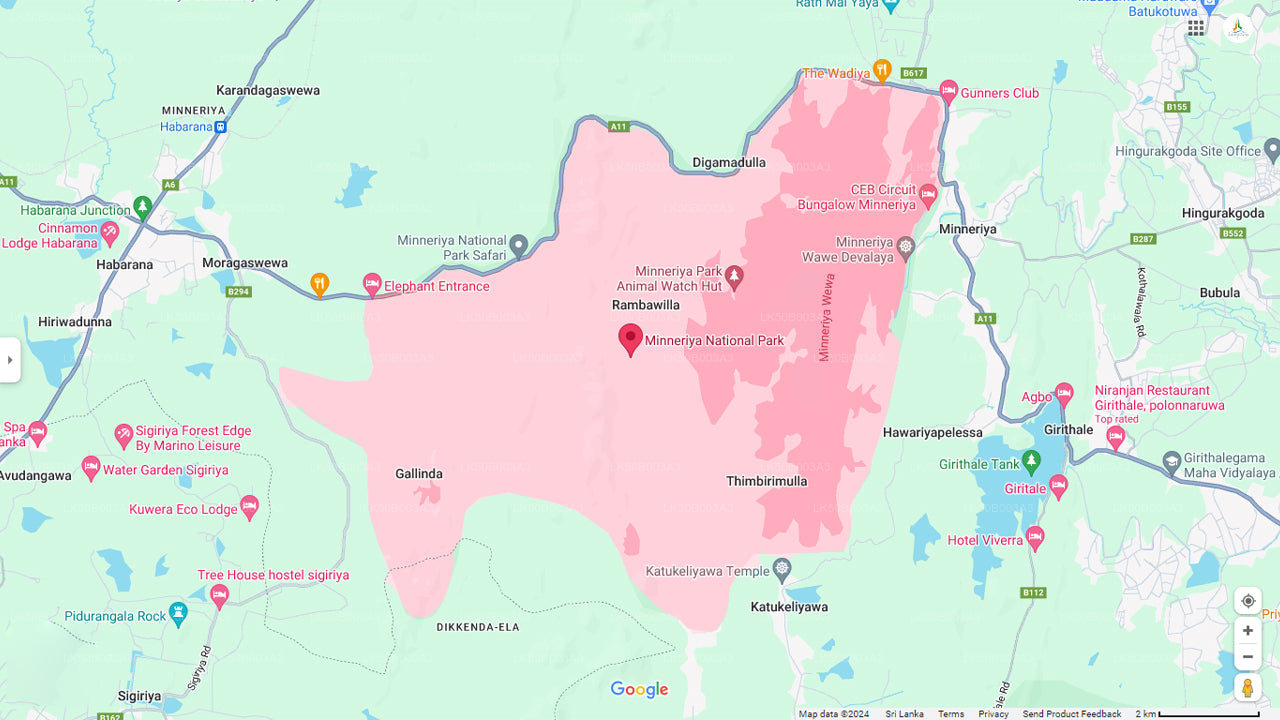 Prywatne safari w Parku Narodowym Minneriya
