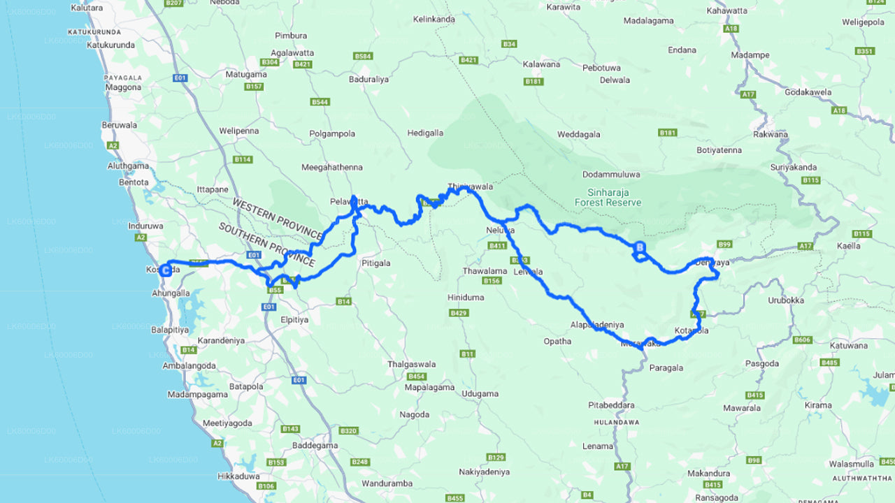 Wycieczka z przewodnikiem po lesie deszczowym Sinharaja z Kosgody