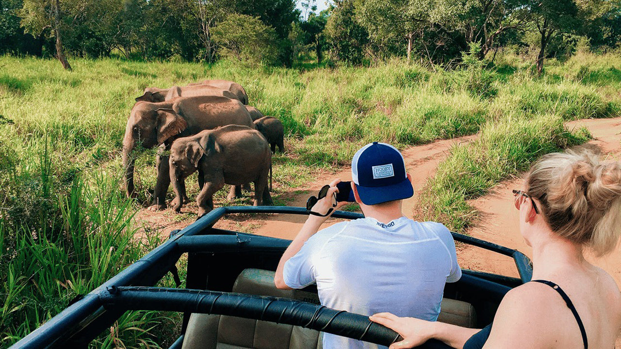 Dziedzictwo Polonnaruwa i safari w Hurulu Eco Park z Pasikuda