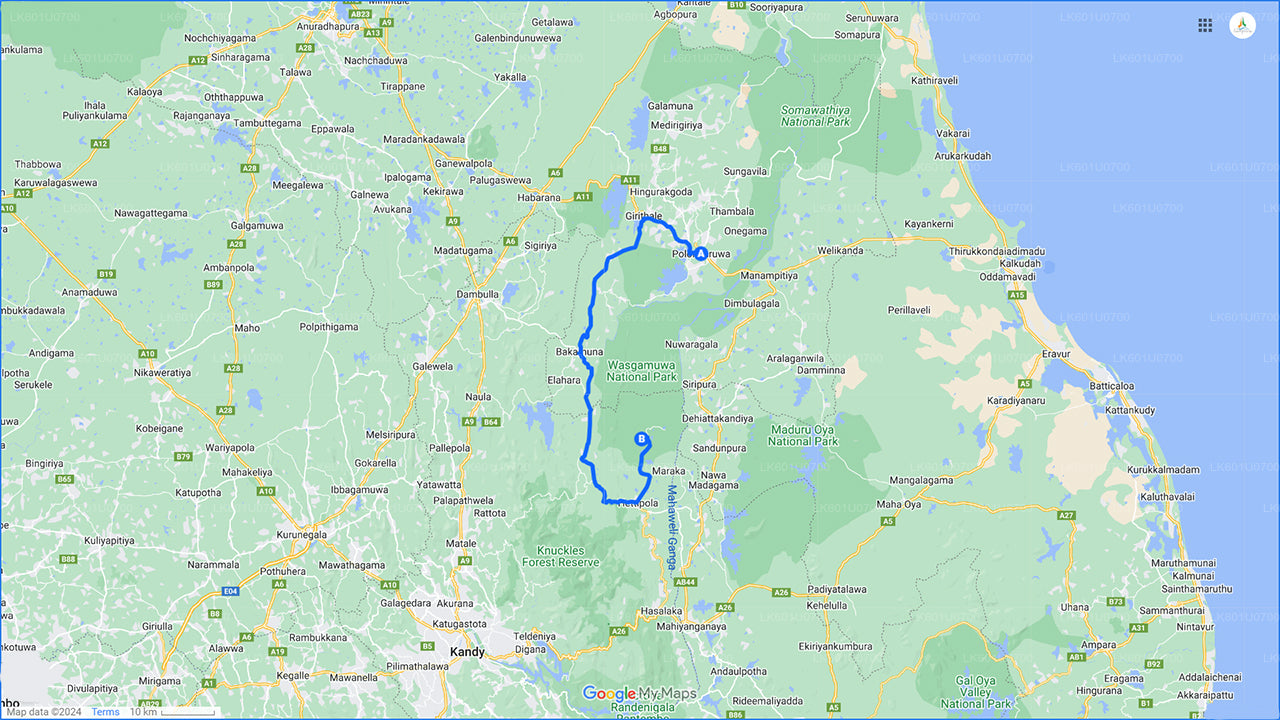 Safari w Parku Narodowym Wasgamuwa z Polonnaruwy