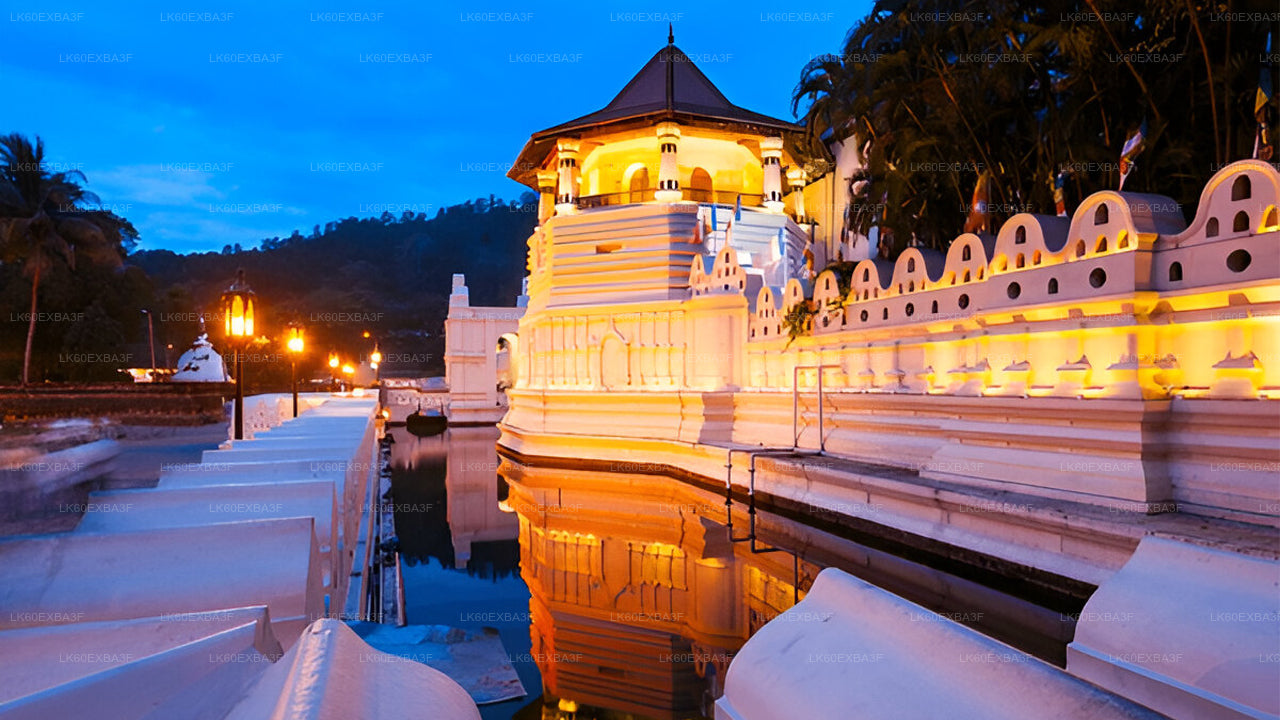 illuminated temple at night with reflection in water