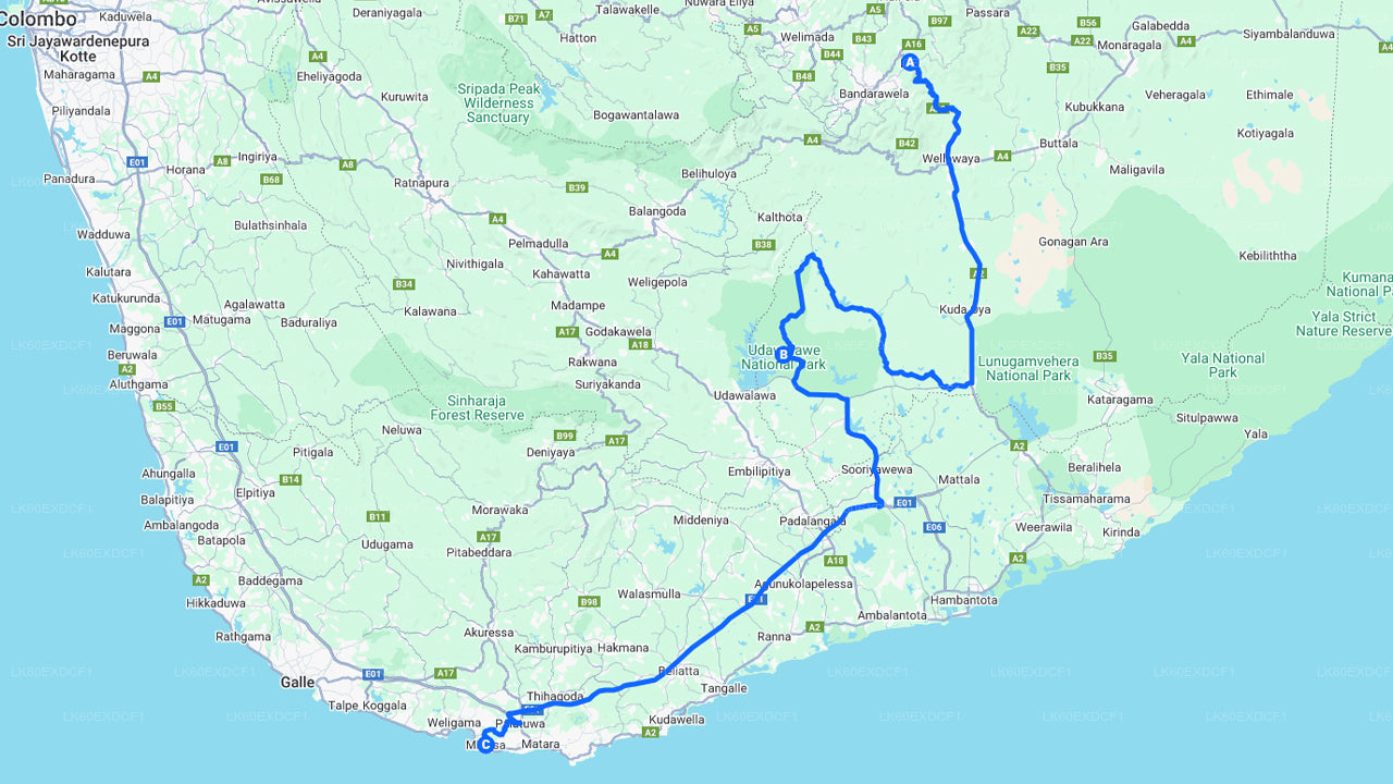 Prywatna wycieczka z Elli do Mirissa z Udawalawe Safari