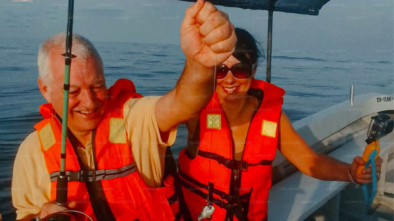 Nurkowanie w lokalizacji Mount Lavinia