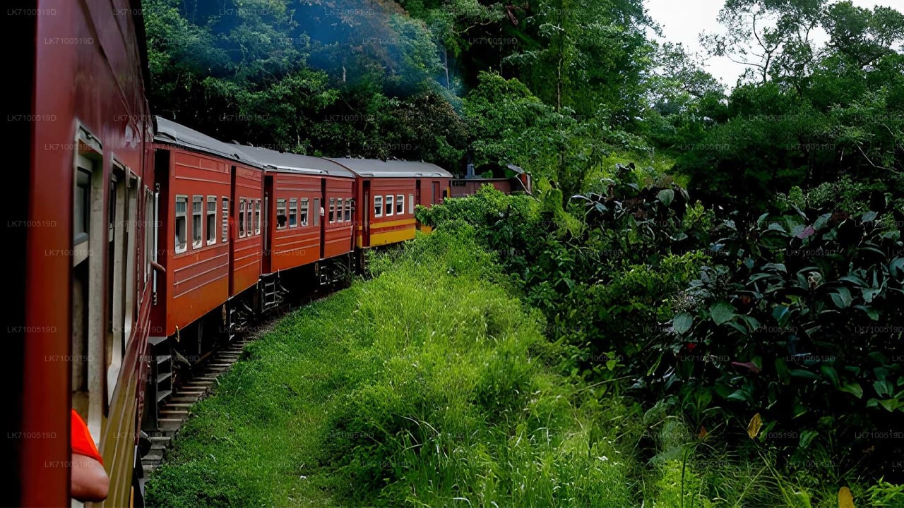 Podróż pociągiem z Ambeweli do Elli (pociąg nr 1005/1015)