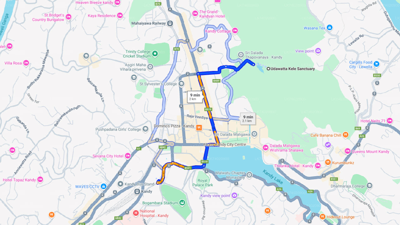 Wędrówka do Rezerwatu Leśnego Udawattakele z Kandy
