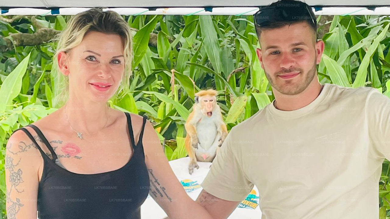 Crocodile Watching Safari on Nilwala