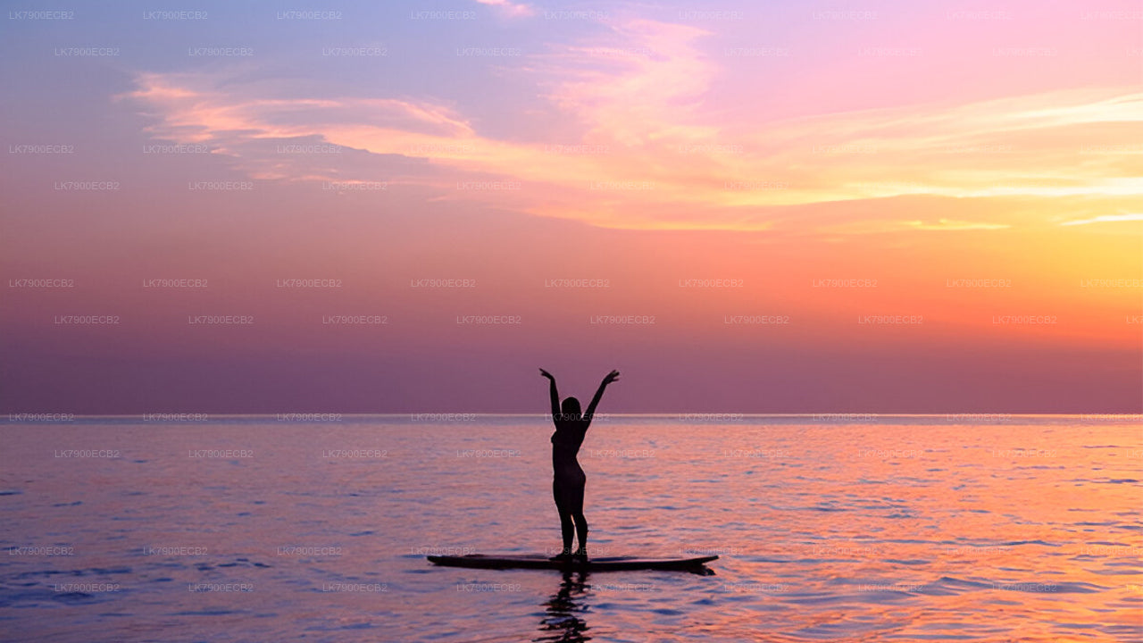 6-nocny rejs z Mirissy na pokładzie Ocean Diamond