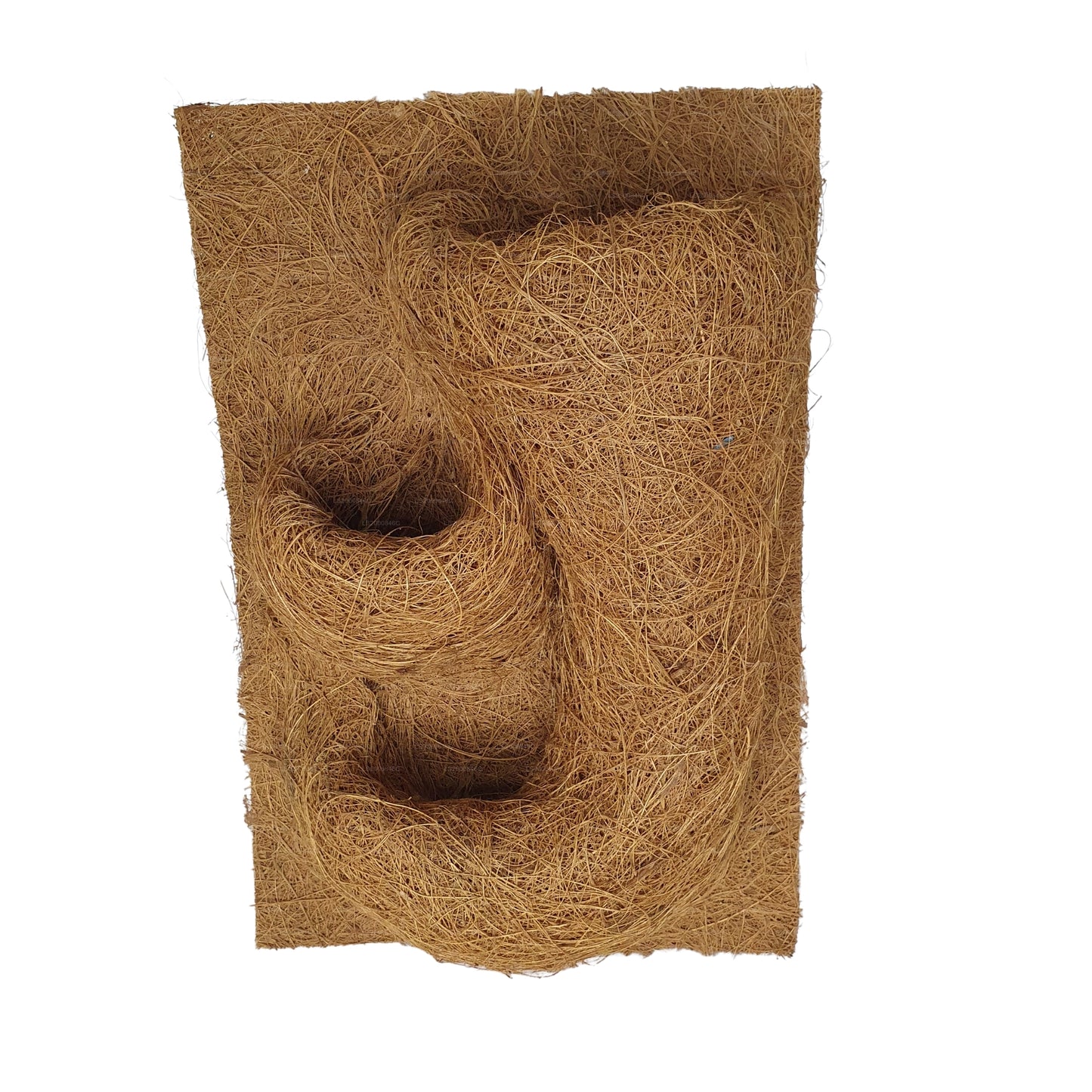 Tło do sadzenia naturalnego kokosa Bivenro (20 cm x 30 cm)