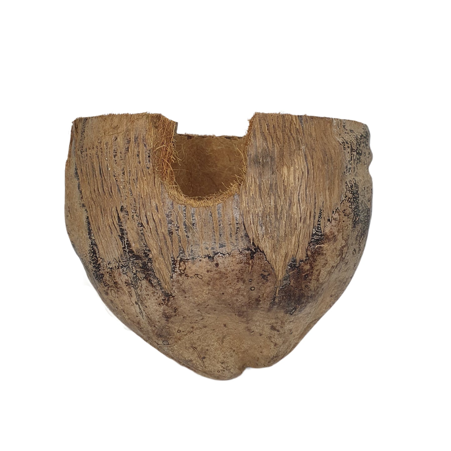 Bivenro Natural 3/4 kryjówka kakaowa z wzorem łuski (wolny rozmiar)