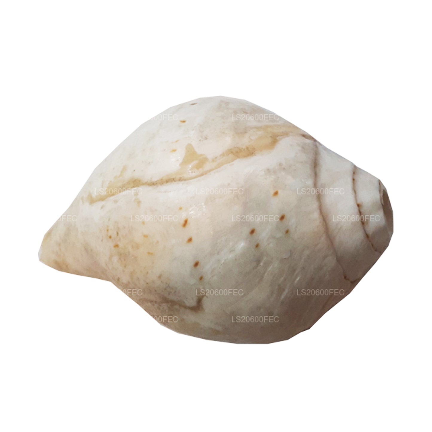 Lakpura Sri Lanki Hakgediya