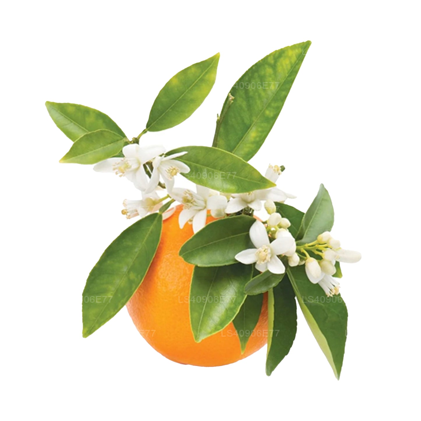 Lakpura Petitgrain Olejek eteryczny (15ml)