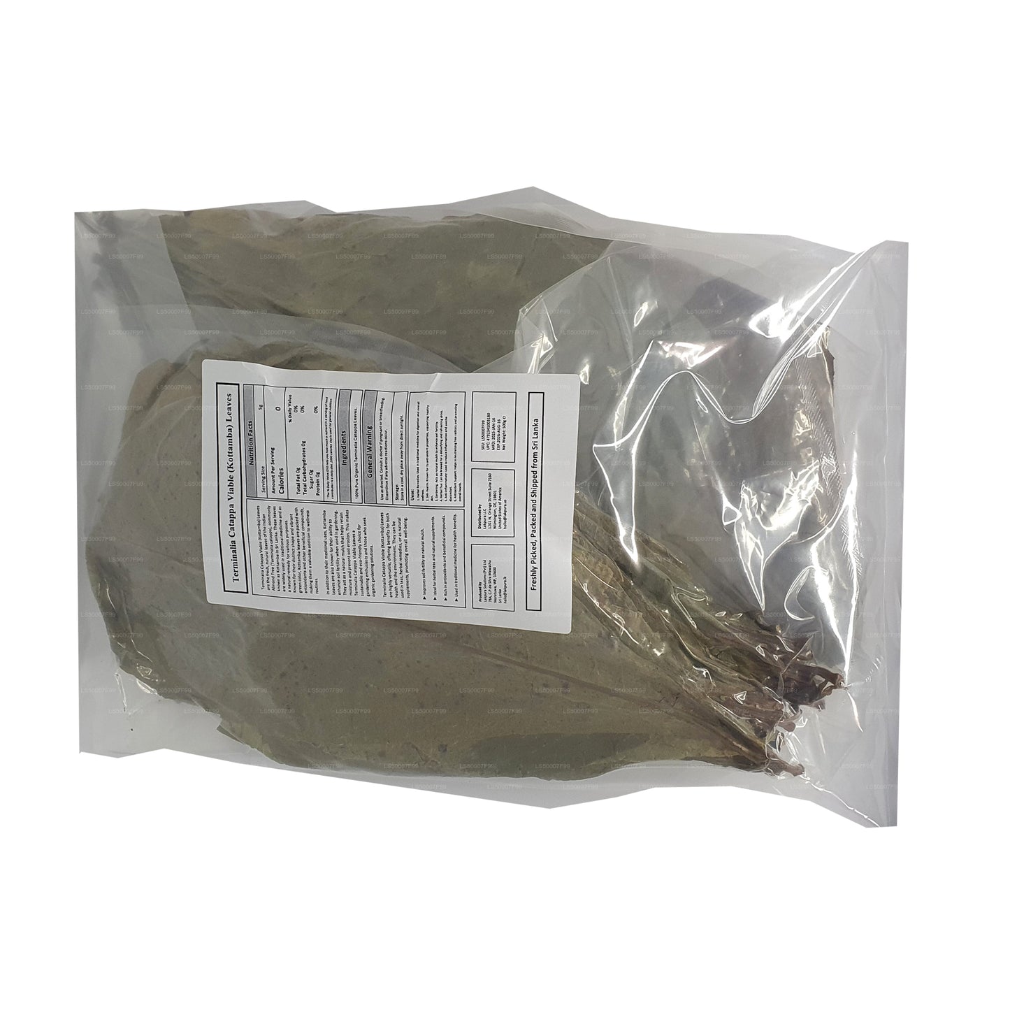 Lakpura Odwodniona (Kottan, Kottamba, Migdał Indyjski) Terminalia catappa 100 liści (100g)