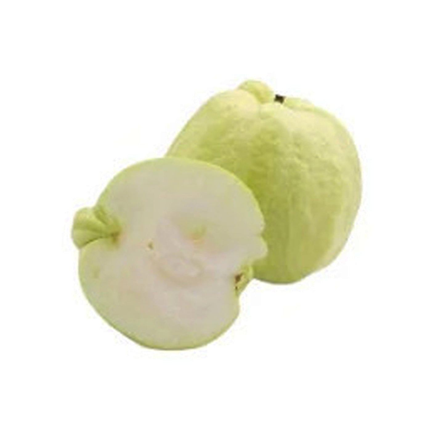 Lakpura White Apple Roślina owocowa guawy