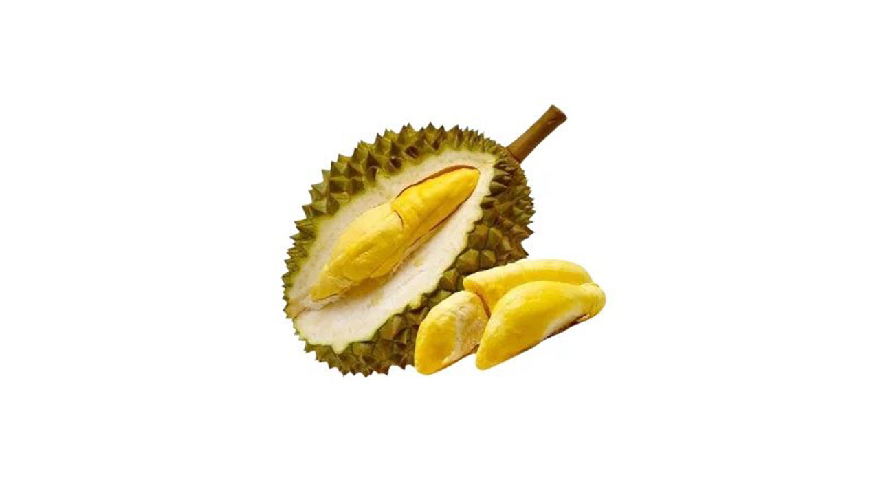 Lakpura Durian (Kasun) Layered Plant