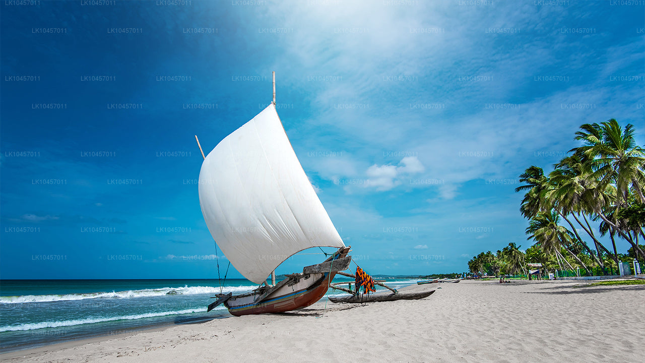 Plaża i miasto (4 dni)