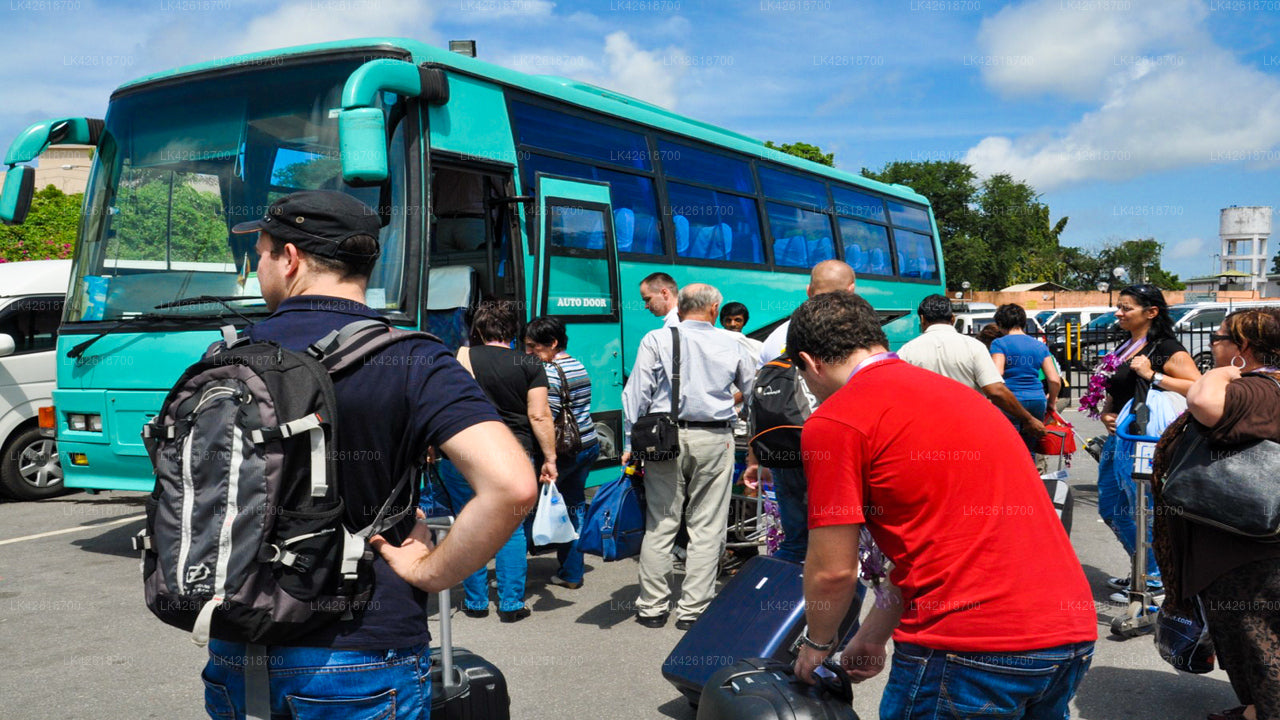 Prywatny transfer z Negombo do Yali