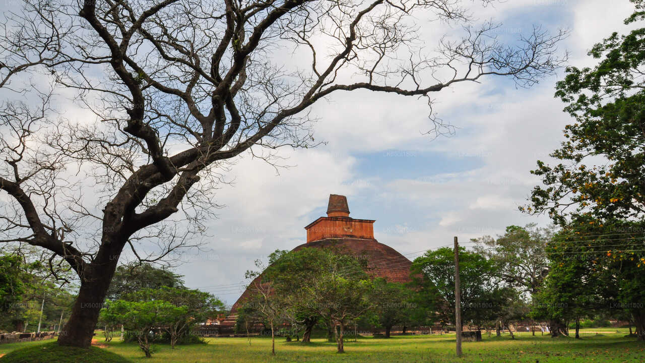 Anuradhapura Buddhist Icons Tour z Dambulla