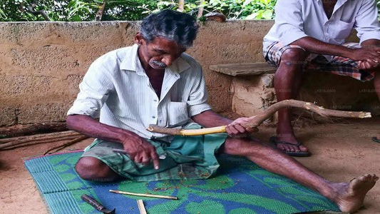 Wycieczka po mieście Bentota z portu w Kolombo