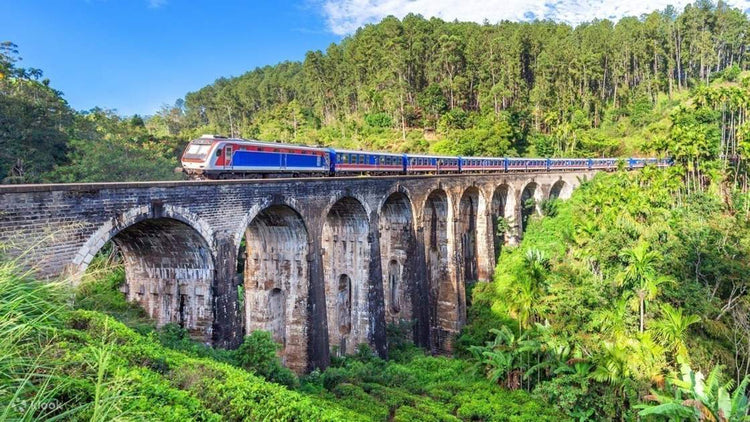 Denuwara Menike (1002)