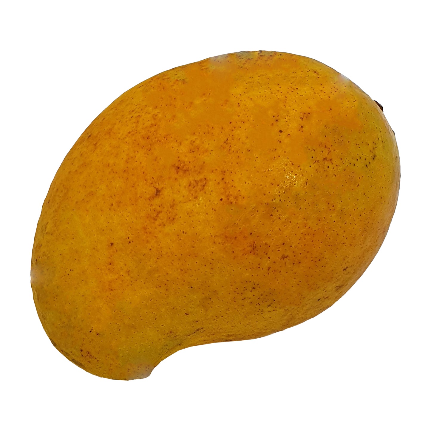 Alphonso Mango (1kg)