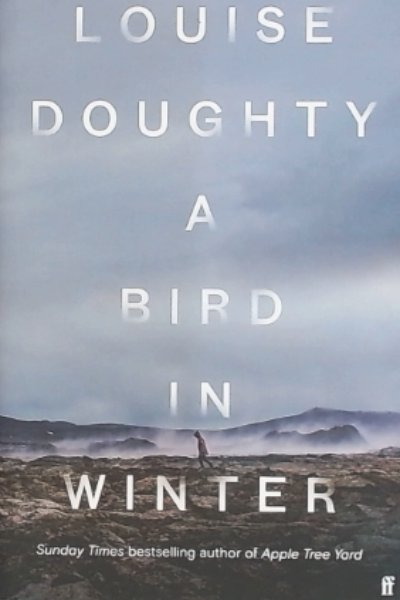 A Bird in Winter Hc
