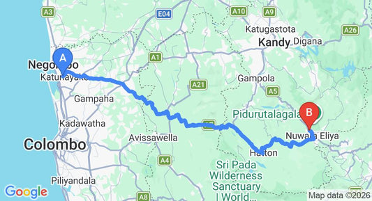 Driving route map: Colombo Airport (CMB) to Forest Dale Holiday Bungalow, Nuwara Eliya (155 km, approx 4 h 48 min private transfer)