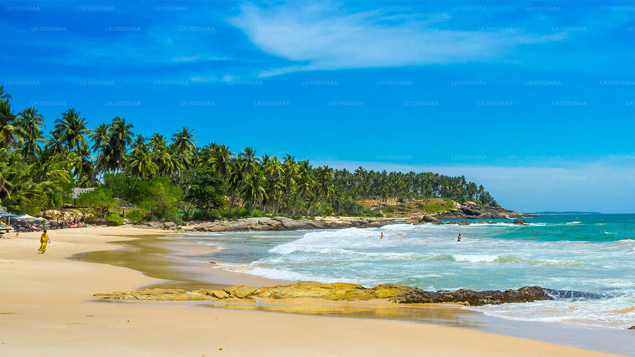Odkryj Sri Lankę z Maheshem Abeyratne
