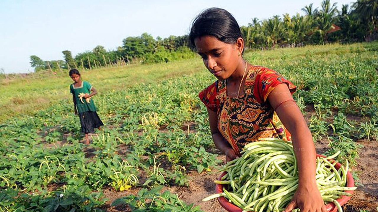 Zrównoważona wycieczka (10 dni)