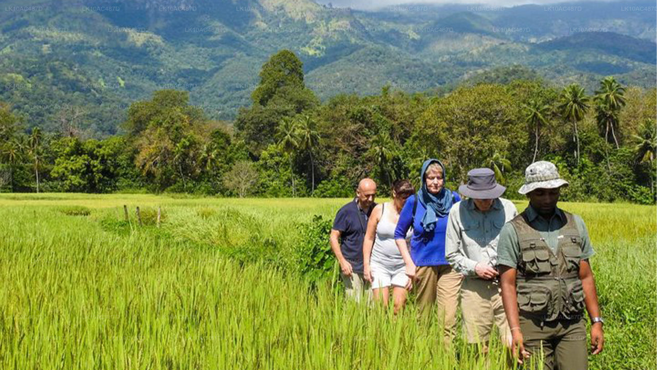 Zrównoważona wycieczka (10 dni)