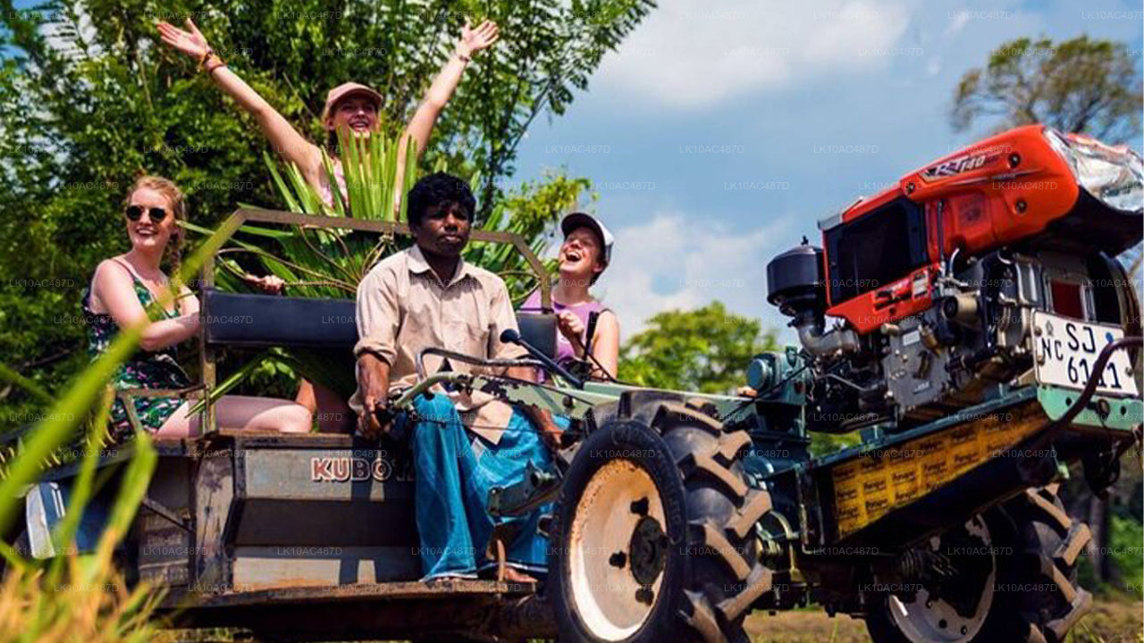 Zrównoważona wycieczka (10 dni)