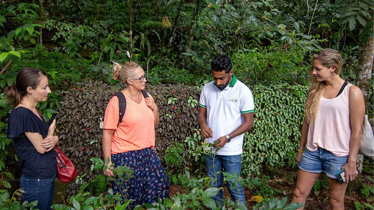 Zrównoważona wycieczka (10 dni)