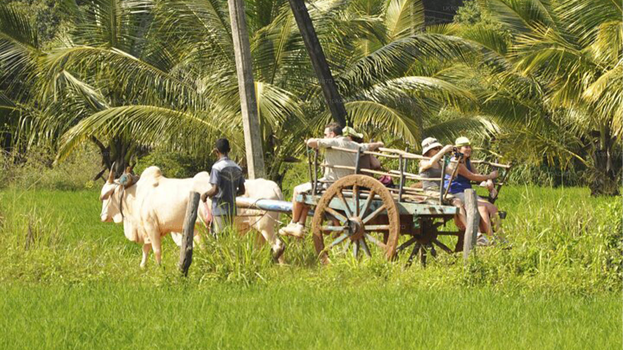 Zrównoważona wycieczka (10 dni)