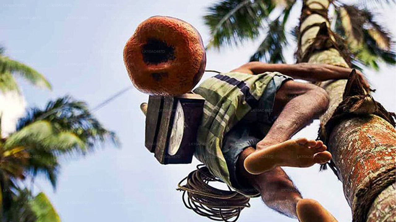 Zrównoważona wycieczka (10 dni)