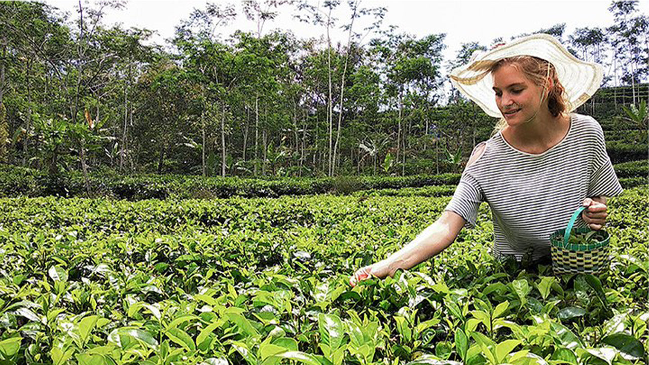 Zrównoważona wycieczka (10 dni)