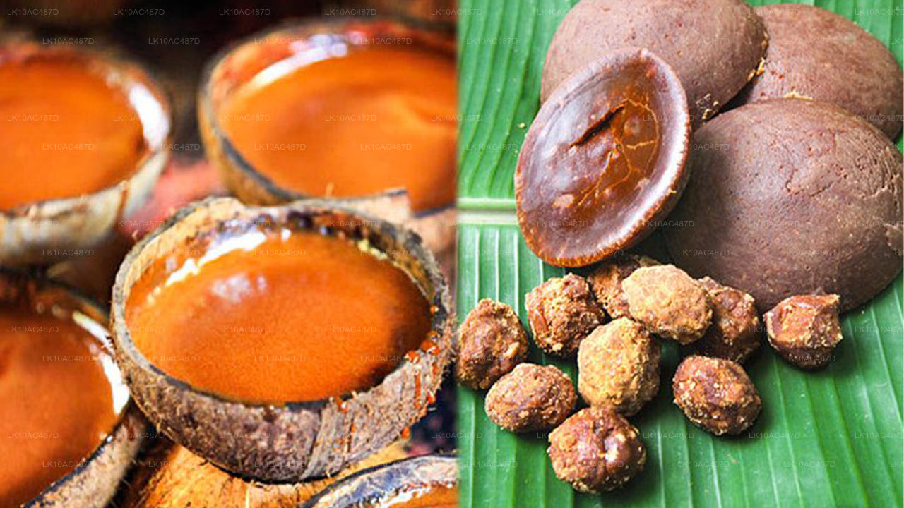 Zrównoważona wycieczka (10 dni)