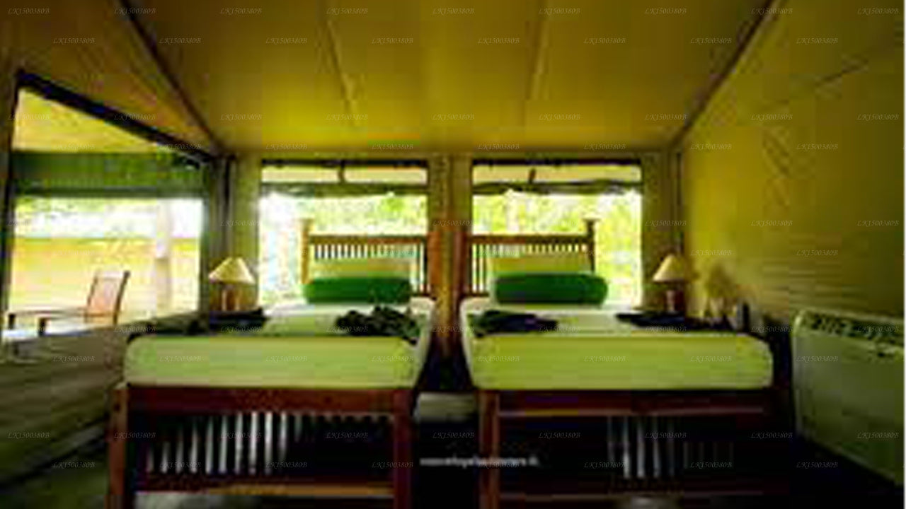 The Yala Adventure, Tissamaharamaya