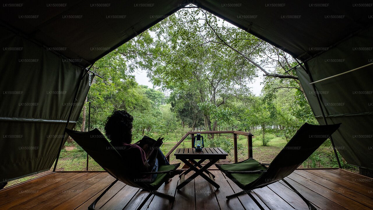 Kulu Safari, Yala