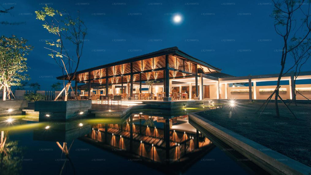 Dom Palmyrah, Mannar