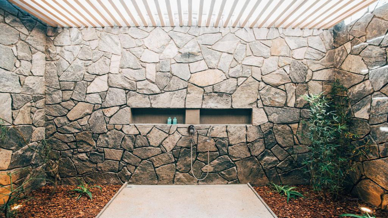 Dom Palmyrah, Mannar