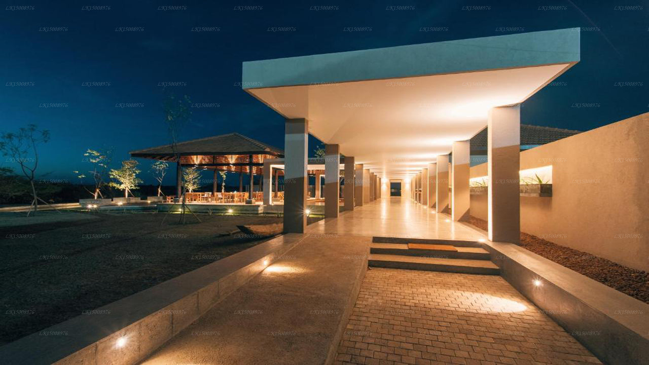 Dom Palmyrah, Mannar