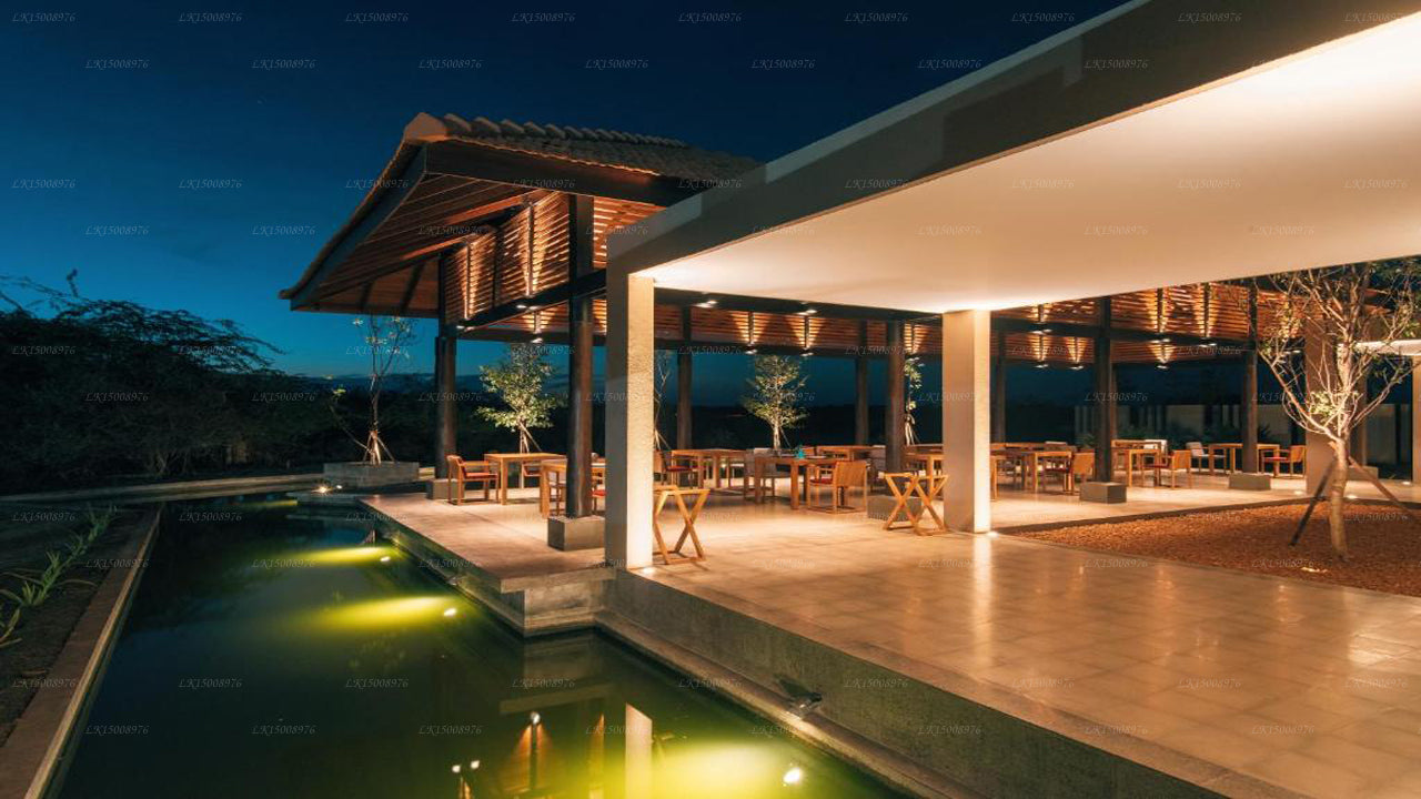 Dom Palmyrah, Mannar